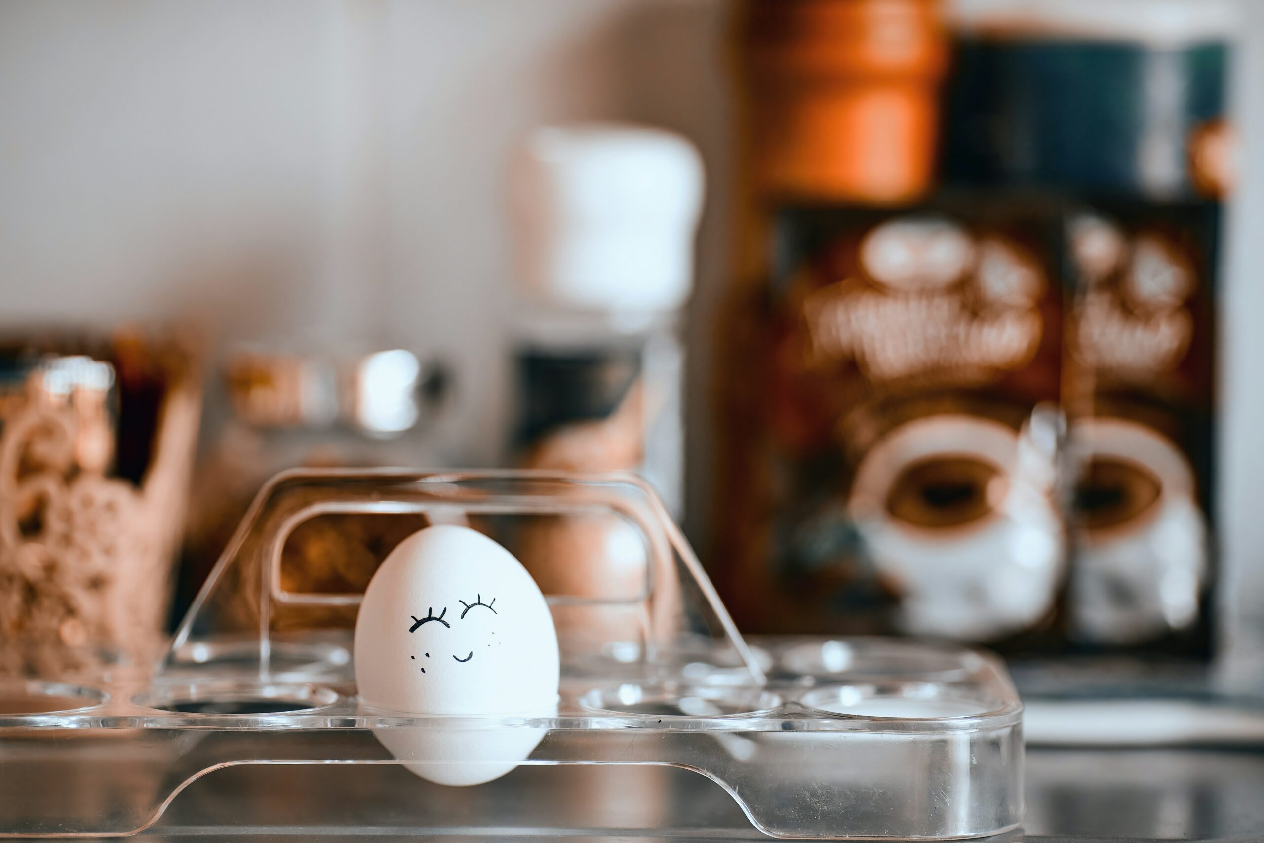 conciergerie saisonnière