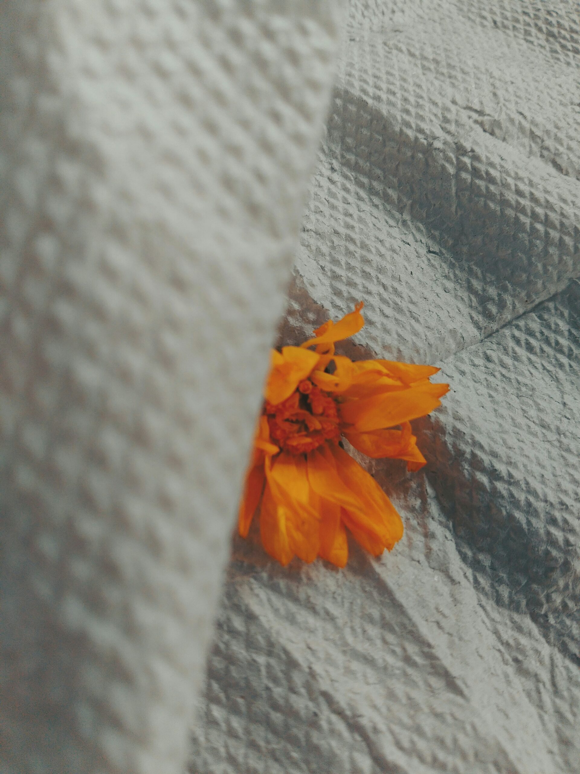 conciergerie saisonnière